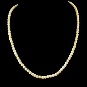 Vintage Bovine Bone Beaded Necklace